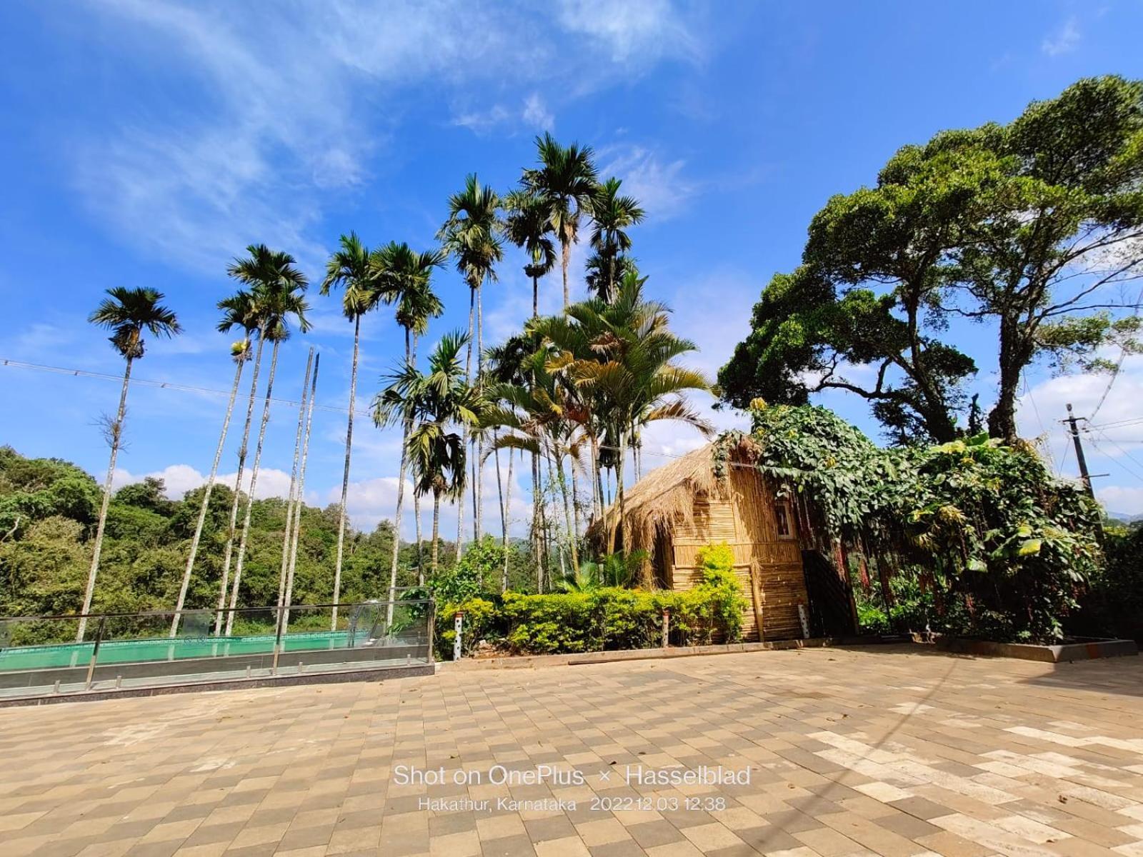 Pool Side Villas Coorg Madikeri Bagian luar foto